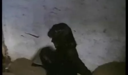 - Anita mahsur tüpler online yetişkin tv izle gibi
