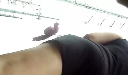Amatör yetişkin tv indir çıplaklar röntgenci MİLF şişman yakın video